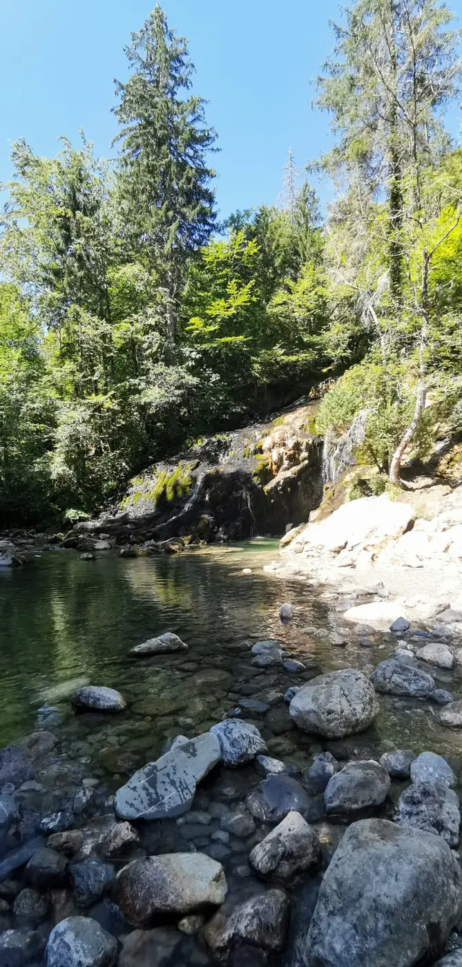 Rivière claire au pied d'une cascade en forêt — l'énergie qui circule librement